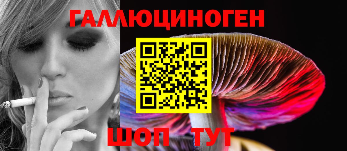 Псилоцибиновые грибы MAGIC MUSHROOMS Дзержинский